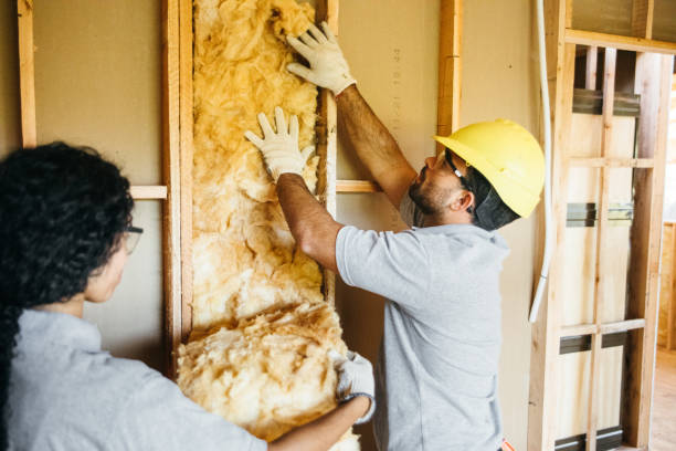 Attic Insulation Near Me in Cheverly, MD